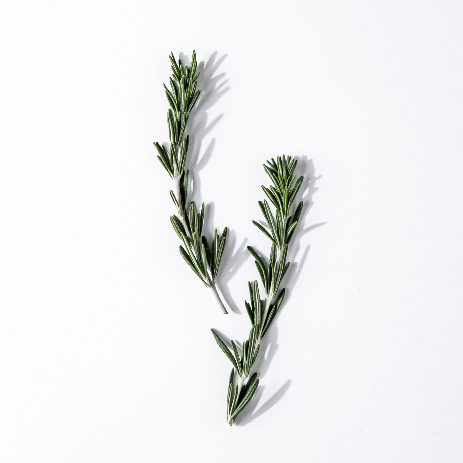 8 Uses for Rosemary Essential Oil