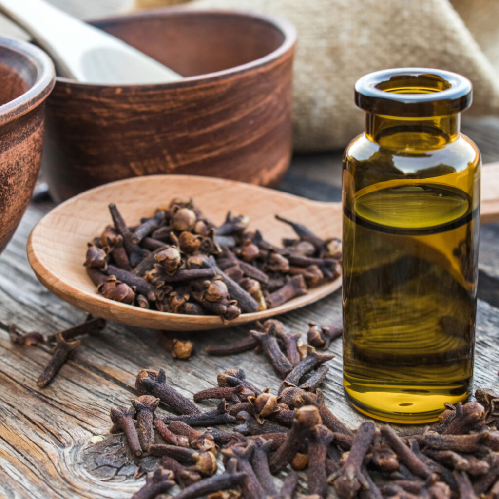 clove essential oil