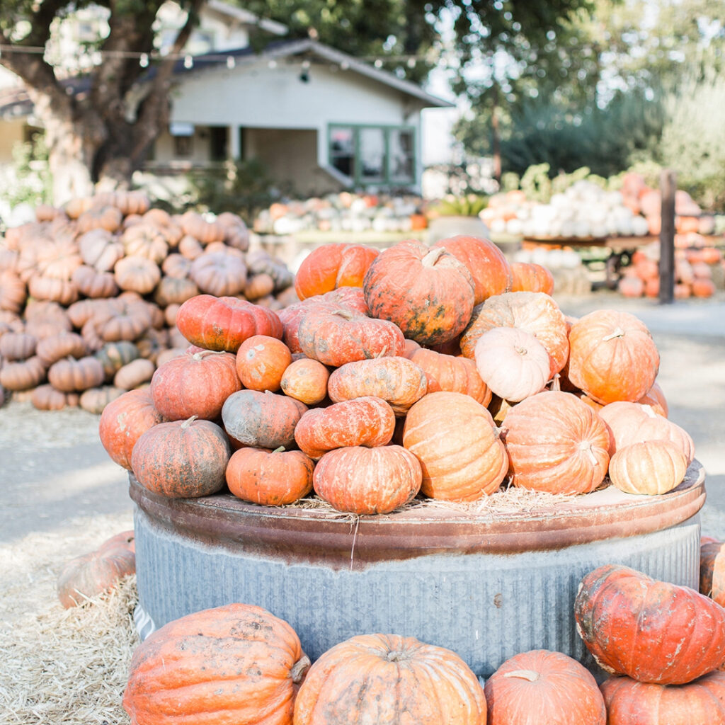 eating seasonally for fall